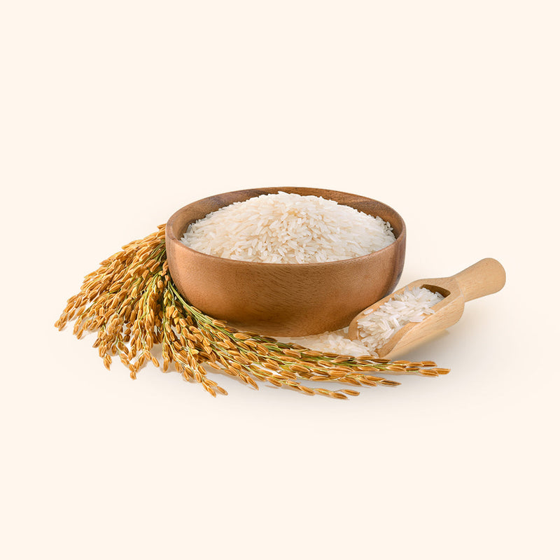 Rice