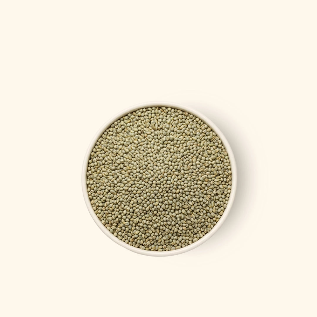 Bajra (Pearl Millet)