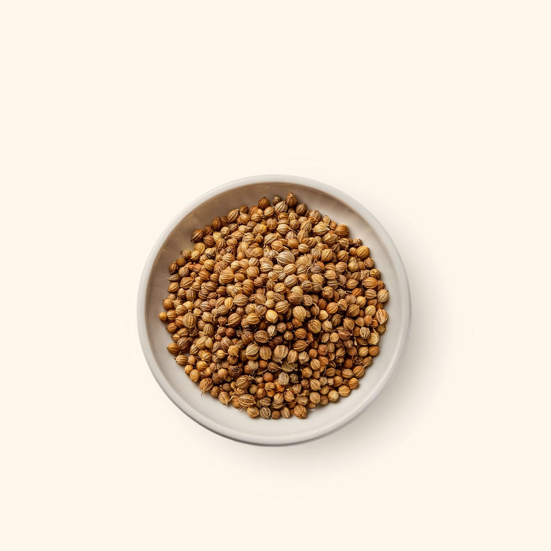 Coriander (Premium)