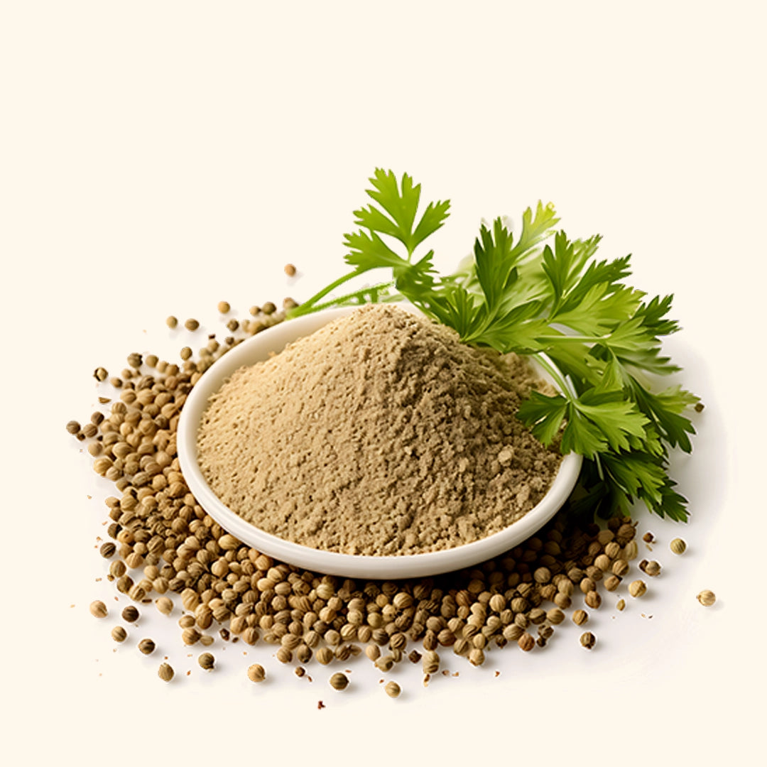 Coriander (Premium) Powder