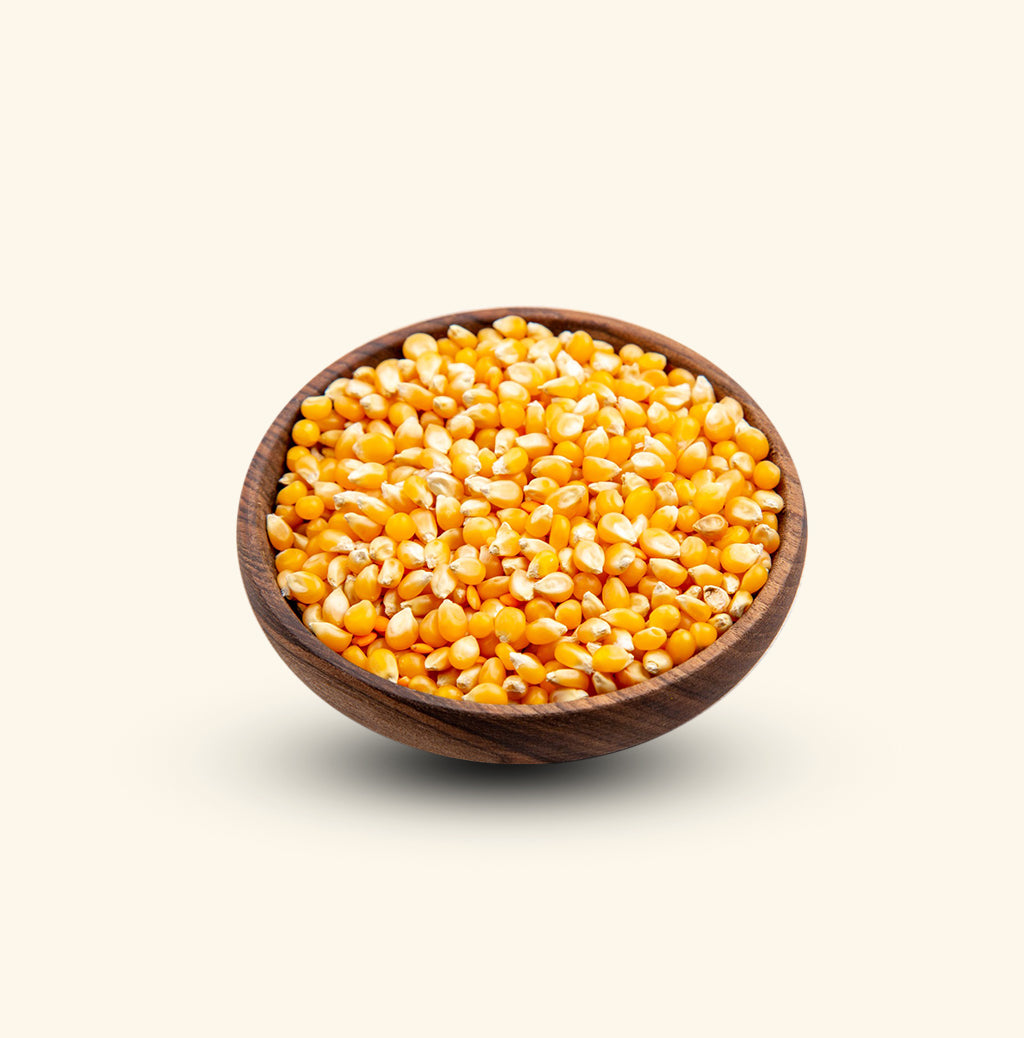 Corn/ Maize