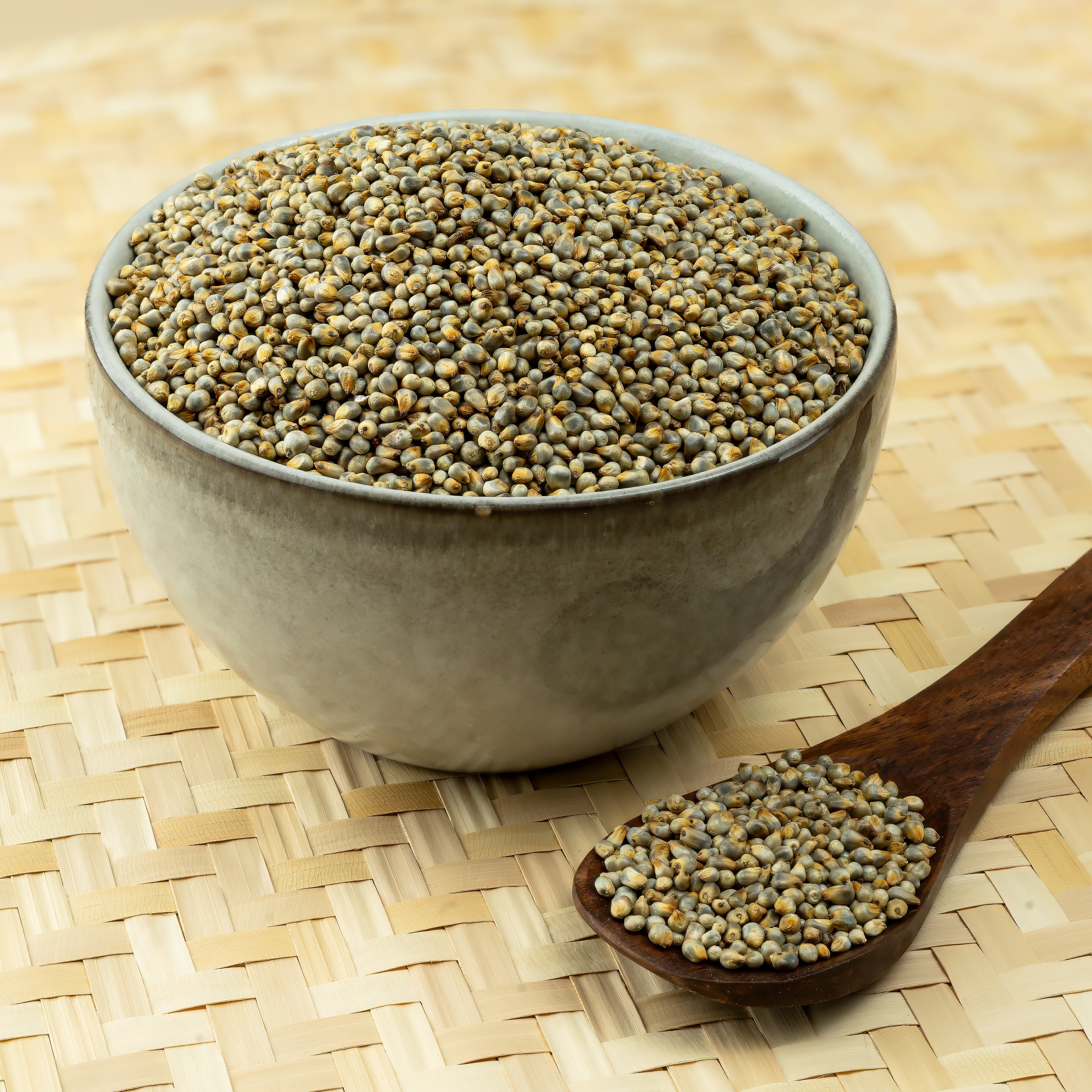 Pearl Millet (Bajra)