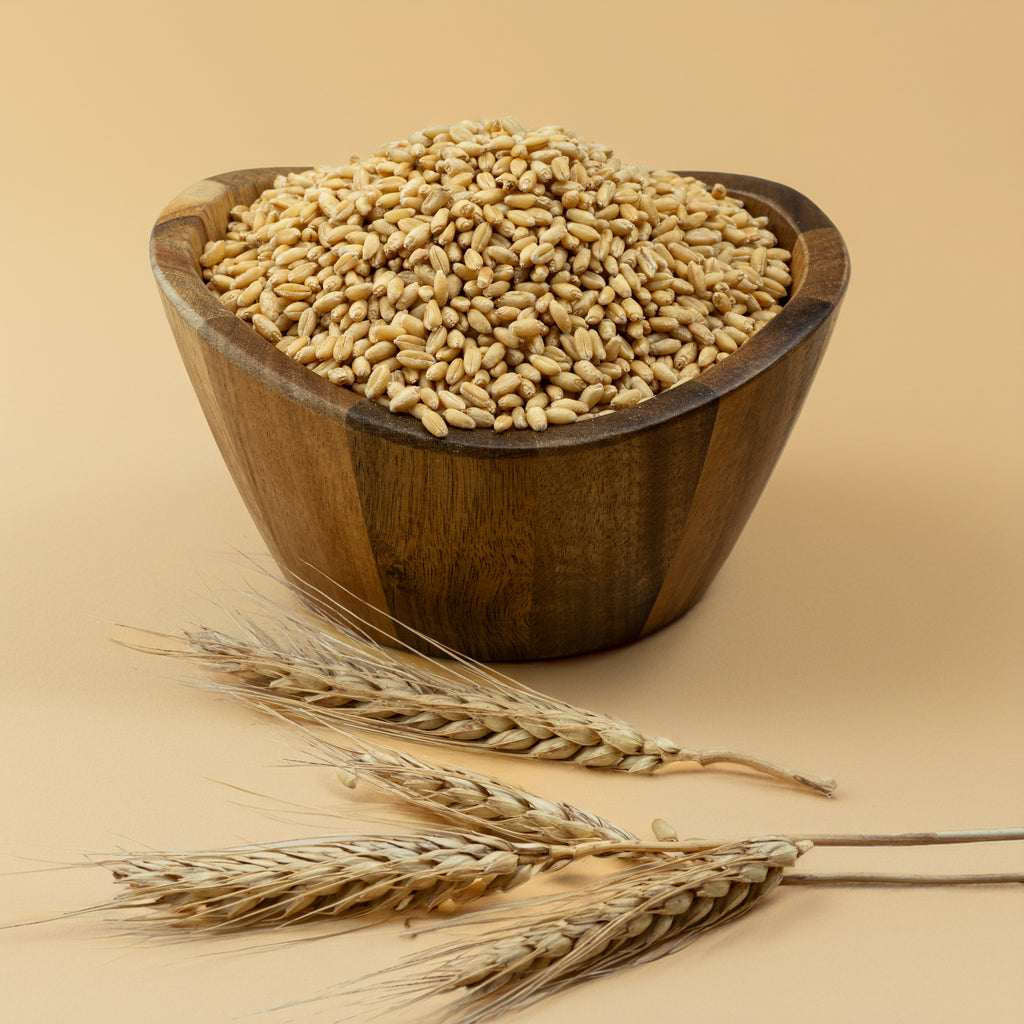 Sharbati Wheat (Rajnigandha)