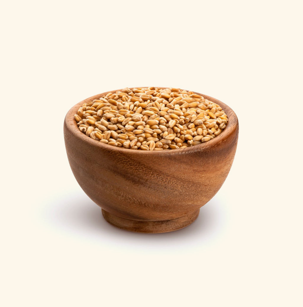 Lokwan Gund Wheat