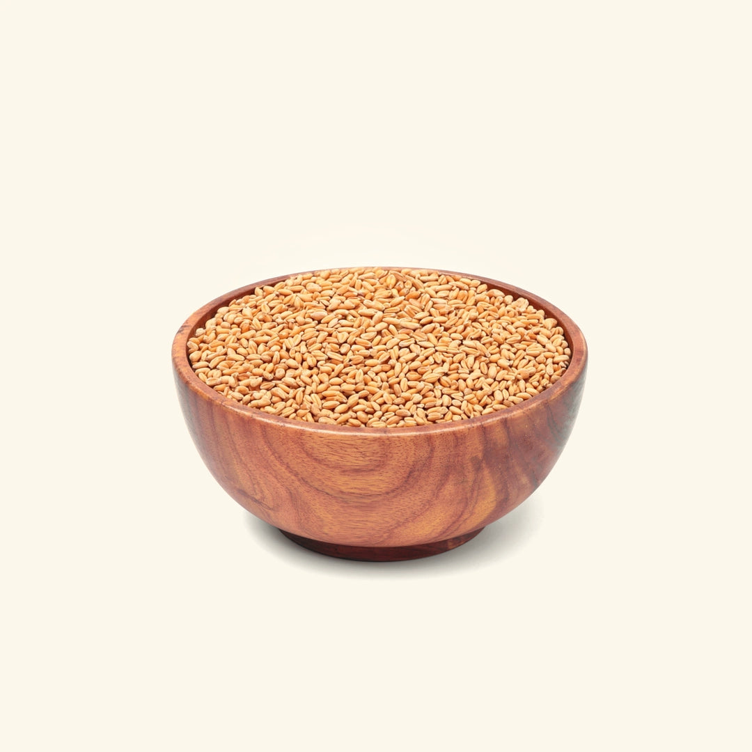 Rajwadi Wheat