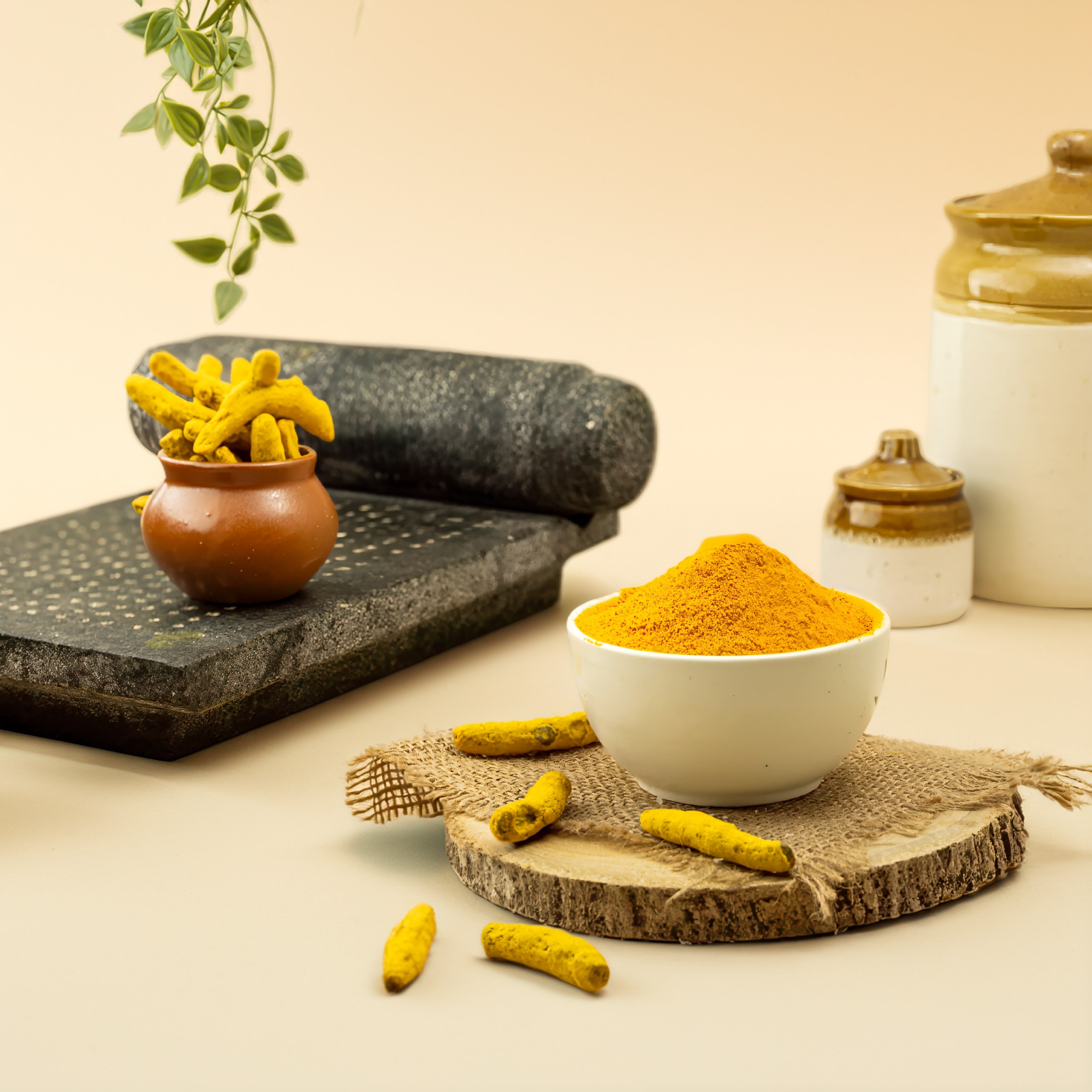 Rajapuri Turmeric