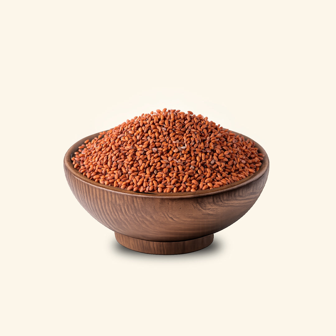 Alovi Seeds (Halim Seeds)